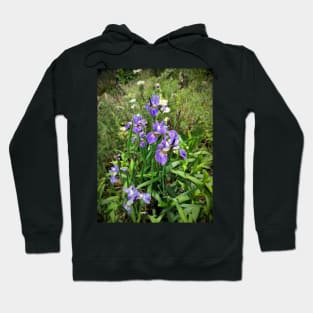 lilies Hoodie